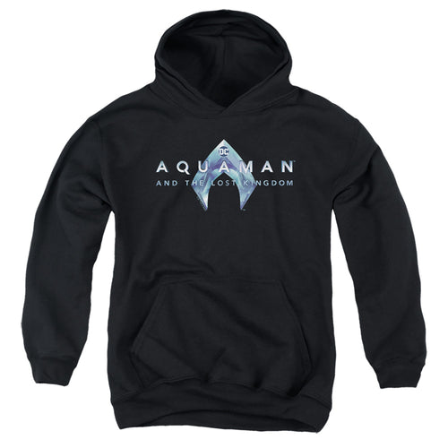 Aquaman Logo Youth Hoodie