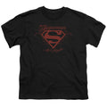 Superman La Youth/Toddler T-Shirt