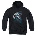 Batman Batman Spotlight Youth Hoodie