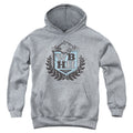 Beverly Hills 90210 WBHH Crest Youth Hoodie
