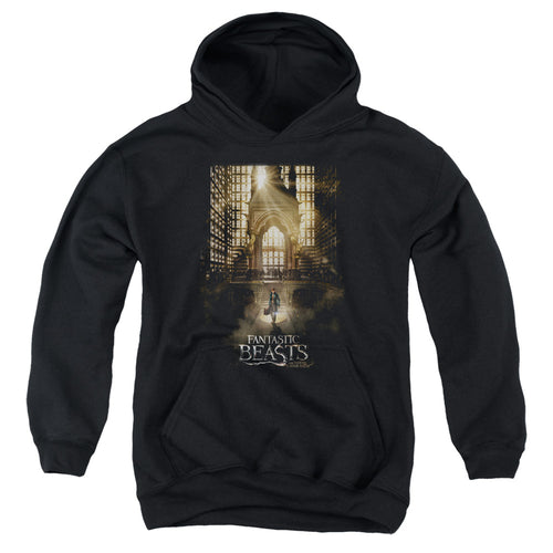 Fantastic Beasts Poster Youth Hoodie