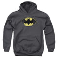 Batman Destroyed Logo Youth Hoodie