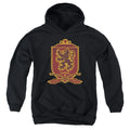 Harry Potter Gryffindor Broomstick Badger Logo Youth Hoodie