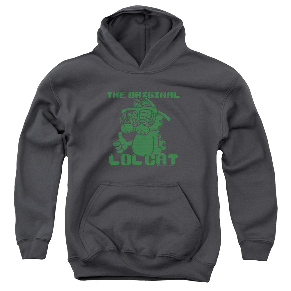 Garfield Og Lol Youth Hoodie