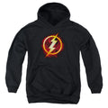 Justice League Flash Title Youth Hoodie