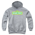 Sesame Street Logo Athletic Heather Youth Hoodie