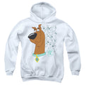 Scooby-Doo Evolution Youth Hoodie