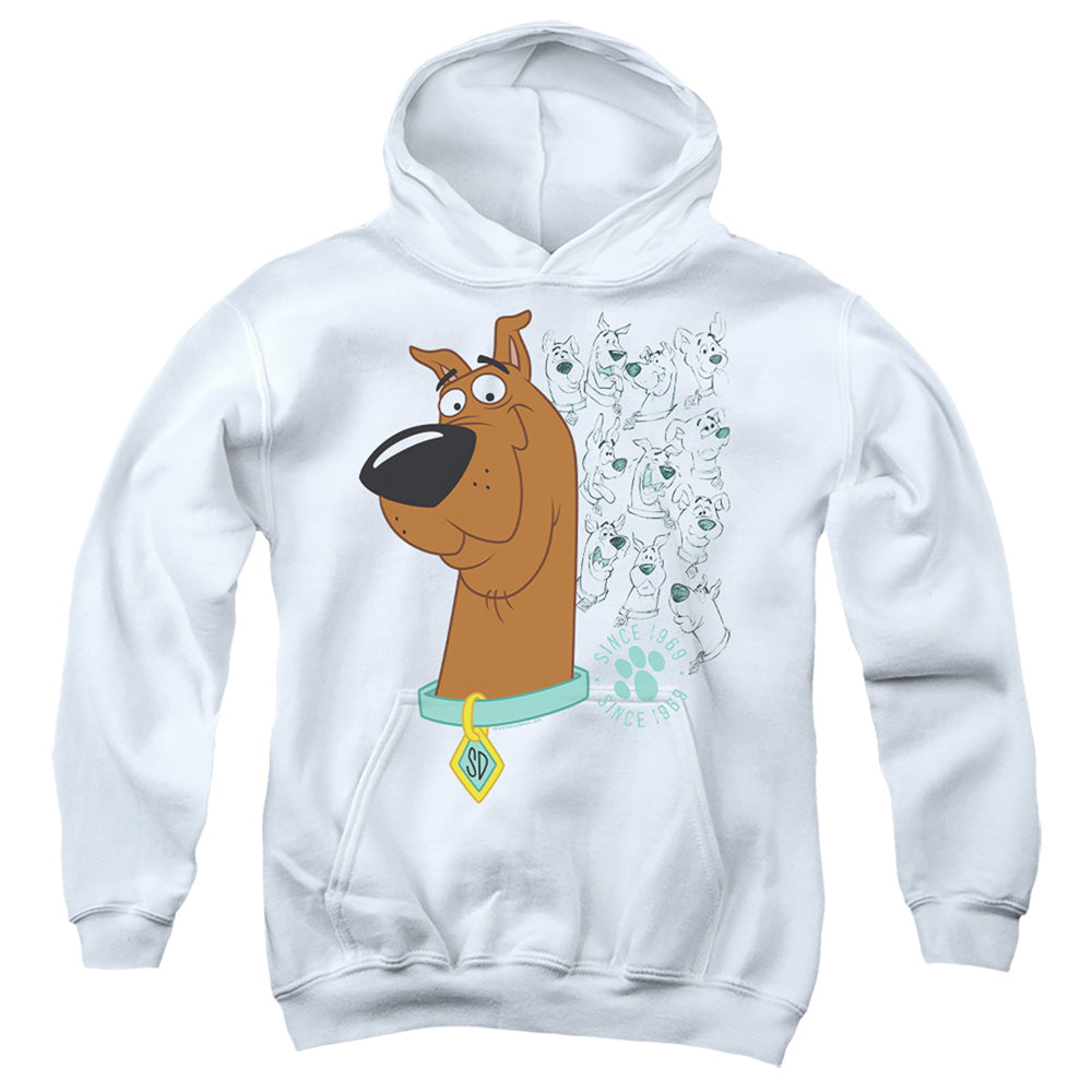 Scooby-Doo Evolution Youth Hoodie