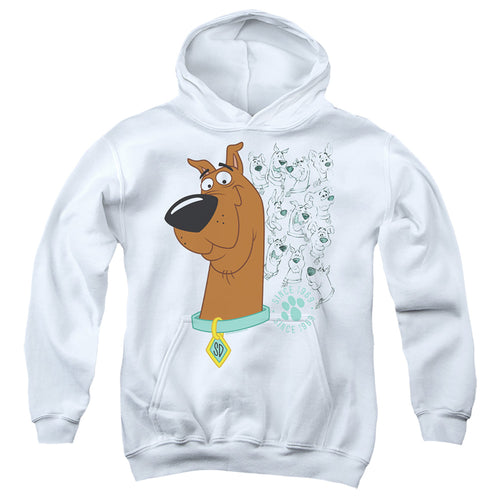 Scooby-Doo Evolution Youth Hoodie