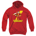 DC Comics Shazam Youth Hoodie