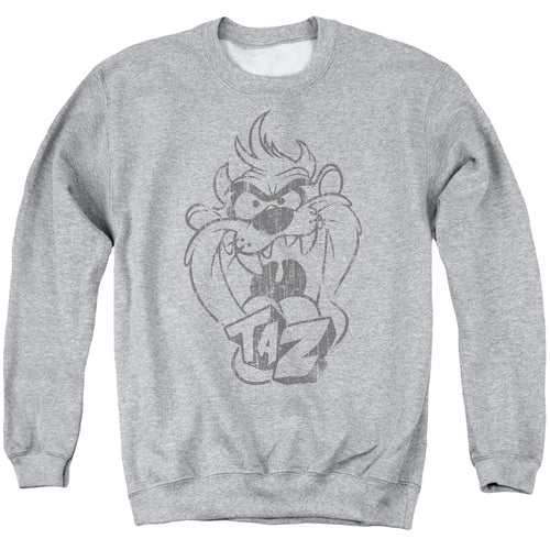 Looney Tunes Faded Taz Crewneck Sweatshirt