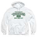 Teenage Mutant Ninja Turtles Est. 1984 Nyc Pullover Hoodie