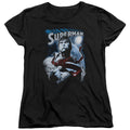 Superman Protect Earth Womens T-Shirt