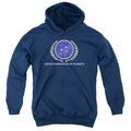 Star Trek United Federation of Planets Logo Youth Hoodie