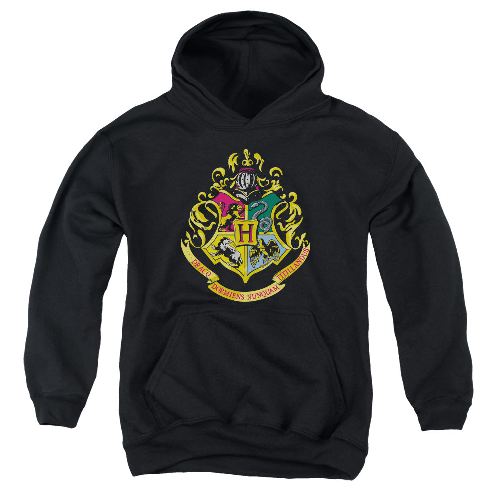 Harry Potter Hogwarts School Crest Youth Hoodie