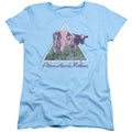 Pink Floyd Atom Heart Mother Triangle Womens T-Shirt