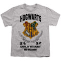 Harry Potter Hogwarts School Of Witchcraft Youth/Toddler T-Shirt