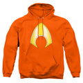 Justice League Aquaman Logo Pullover Hoodie