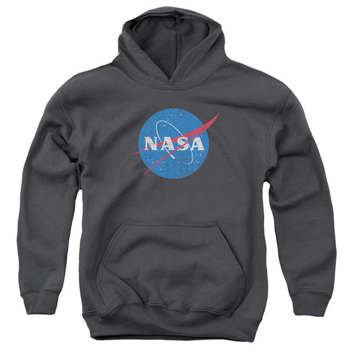 NASA Meatball Logo Distressed Youth Hoodie