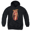 The Flash Flash Ave Youth Hoodie