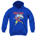 DC Comics Lets Fly Youth Hoodie