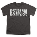 The Batman Text on Gray Youth/Toddler T-Shirt