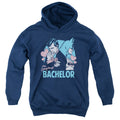 DC Comics Bachelor Youth Hoodie