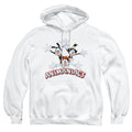 Animaniacs Animaniacs Trio Pullover Hoodie