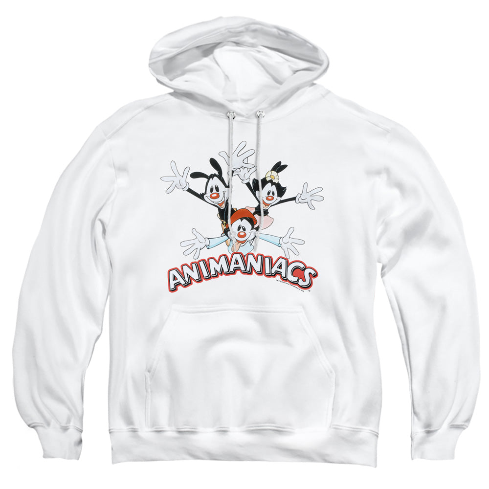 Animaniacs Animaniacs Trio Pullover Hoodie