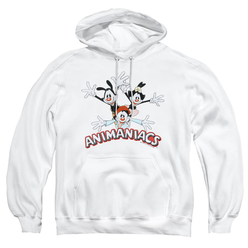 Animaniacs Animaniacs Trio Pullover Hoodie