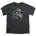 The Hobbit Gandalf the Grey Youth/Toddler T-Shirt