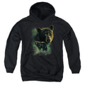 Wild Wings Black Bears Youth Hoodie
