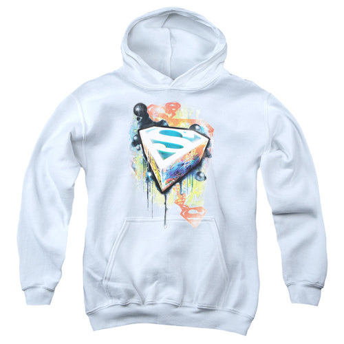 Superman Urban Shields Youth Hoodie