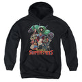 DC League of Super-Pets Super-Pet Pile Youth Hoodie