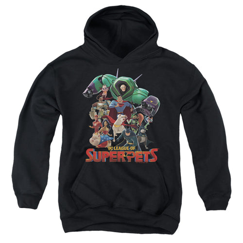 DC League of Super-Pets Super-Pet Pile Youth Hoodie