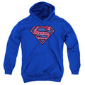 Superman Paisley Shield Youth Hoodie