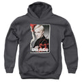Harry Potter Draco Frame Youth Hoodie