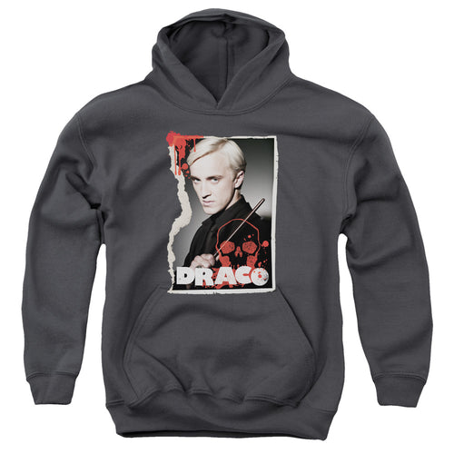 Harry Potter Draco Frame Youth Hoodie