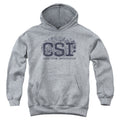 CSI Distressed Logo Youth Hoodie