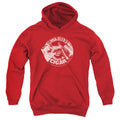 Pink Floyd Just a Cigar Youth Hoodie