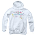 Harry Potter Honeydukes Sweet Treats Youth Hoodie