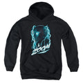 The Flash Zoom Youth Hoodie