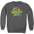 DC Comics Power Bolt Crewneck Sweatshirt