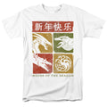 House of the Dragon Year Of The Dragon Grid T-Shirt