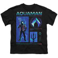 Aquaman Aquaman Stats Youth/Toddler T-Shirt
