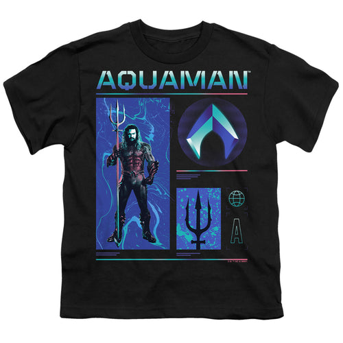 Aquaman Aquaman Stats Youth/Toddler T-Shirt