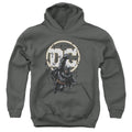Batman Batman Dc Youth Hoodie