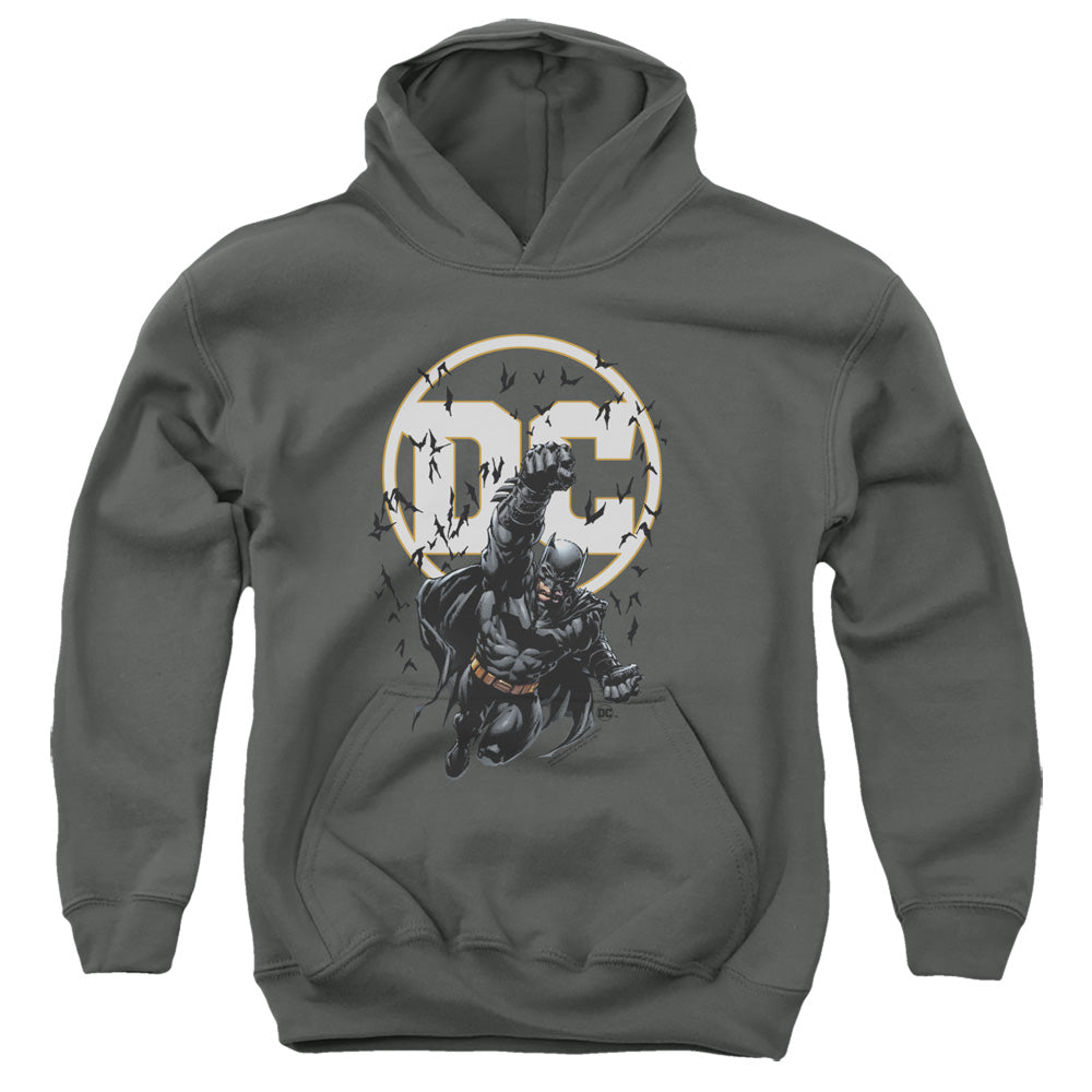 Batman Batman Dc Youth Hoodie