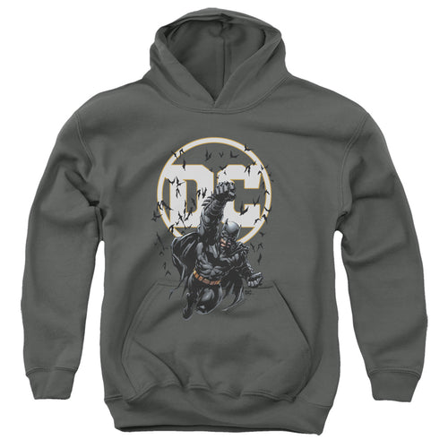 Batman Batman Dc Youth Hoodie