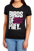 Birds of Prey Birds Of Prey Logo Womens T-Shirt